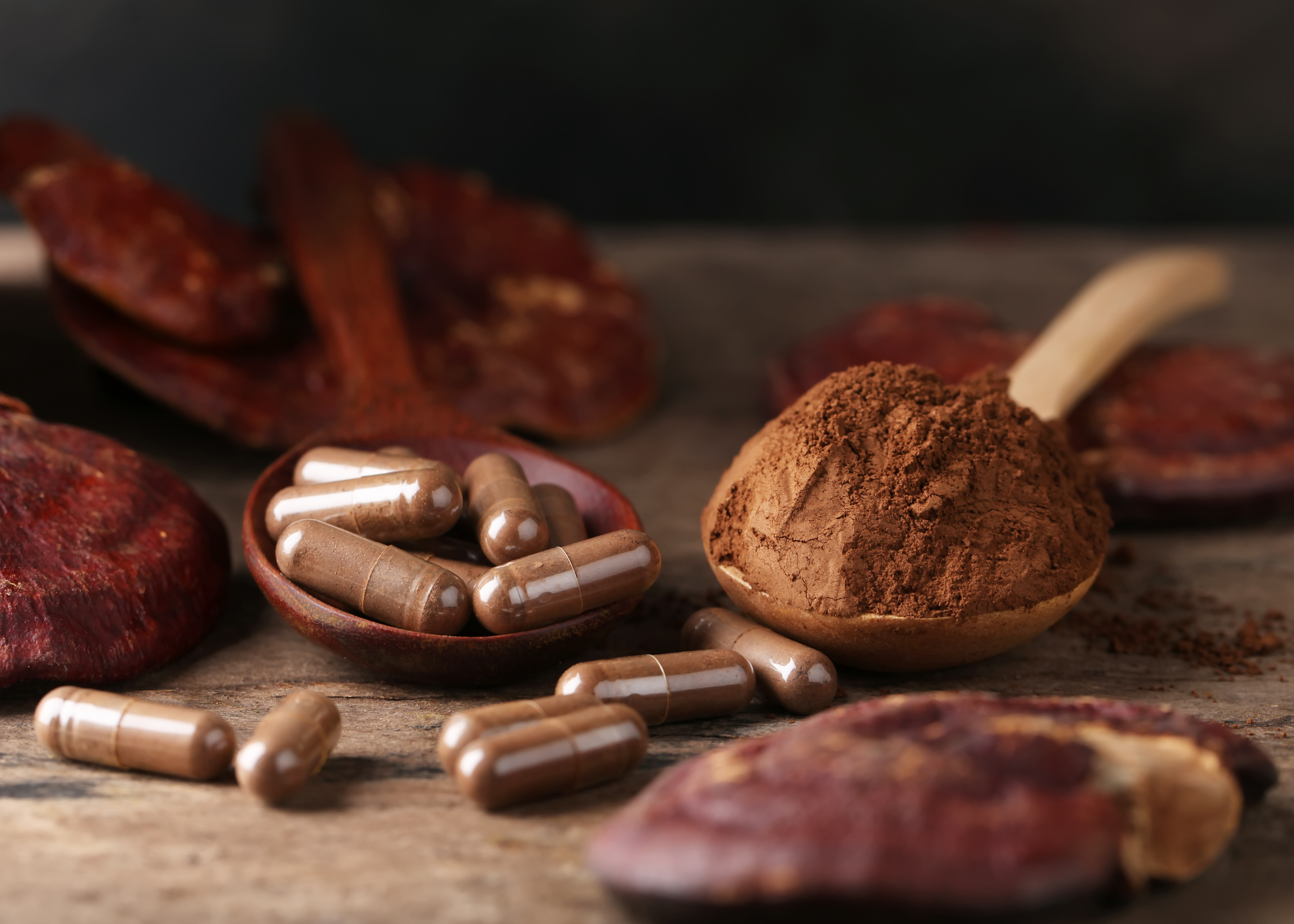 reishi2.jpg